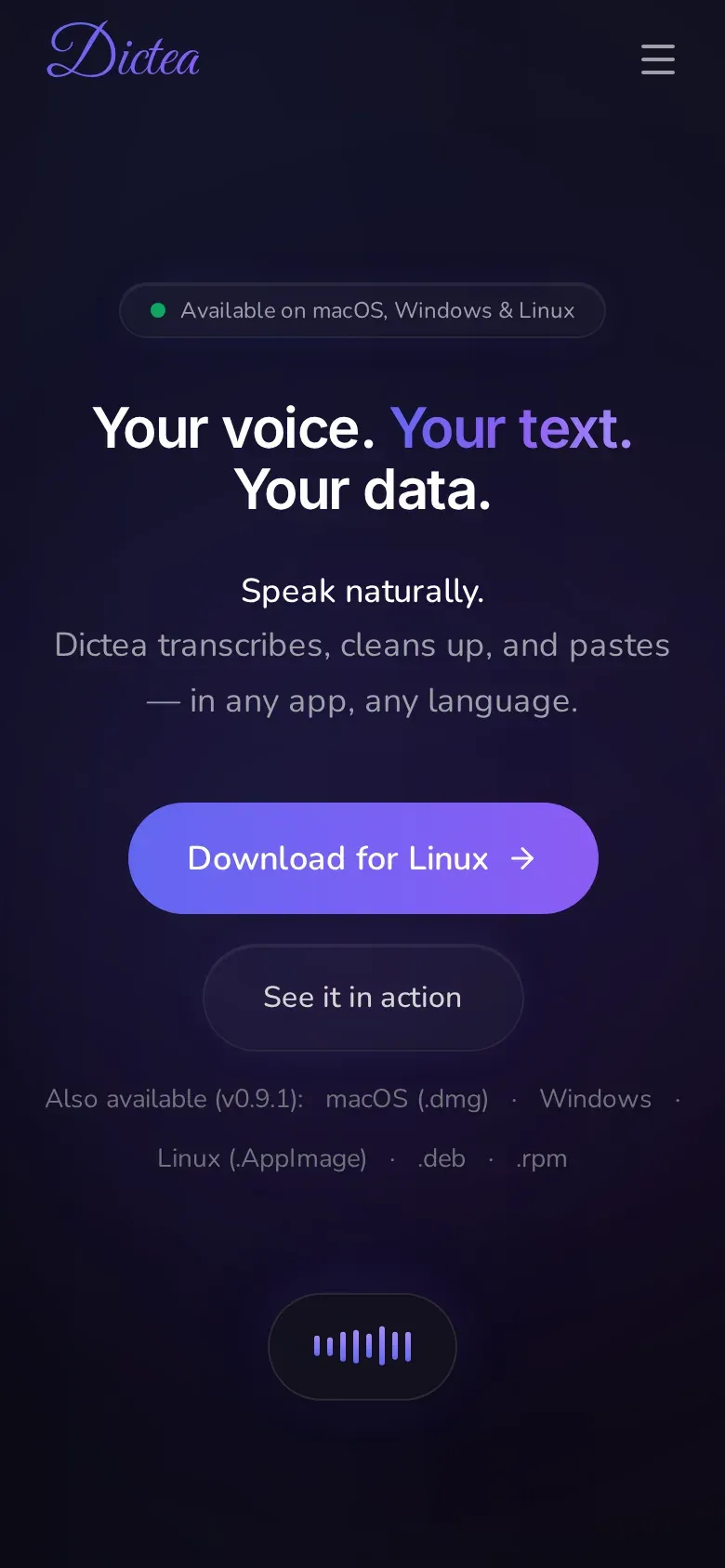 Dictea landing page: "Your voice. Your text. Your data."