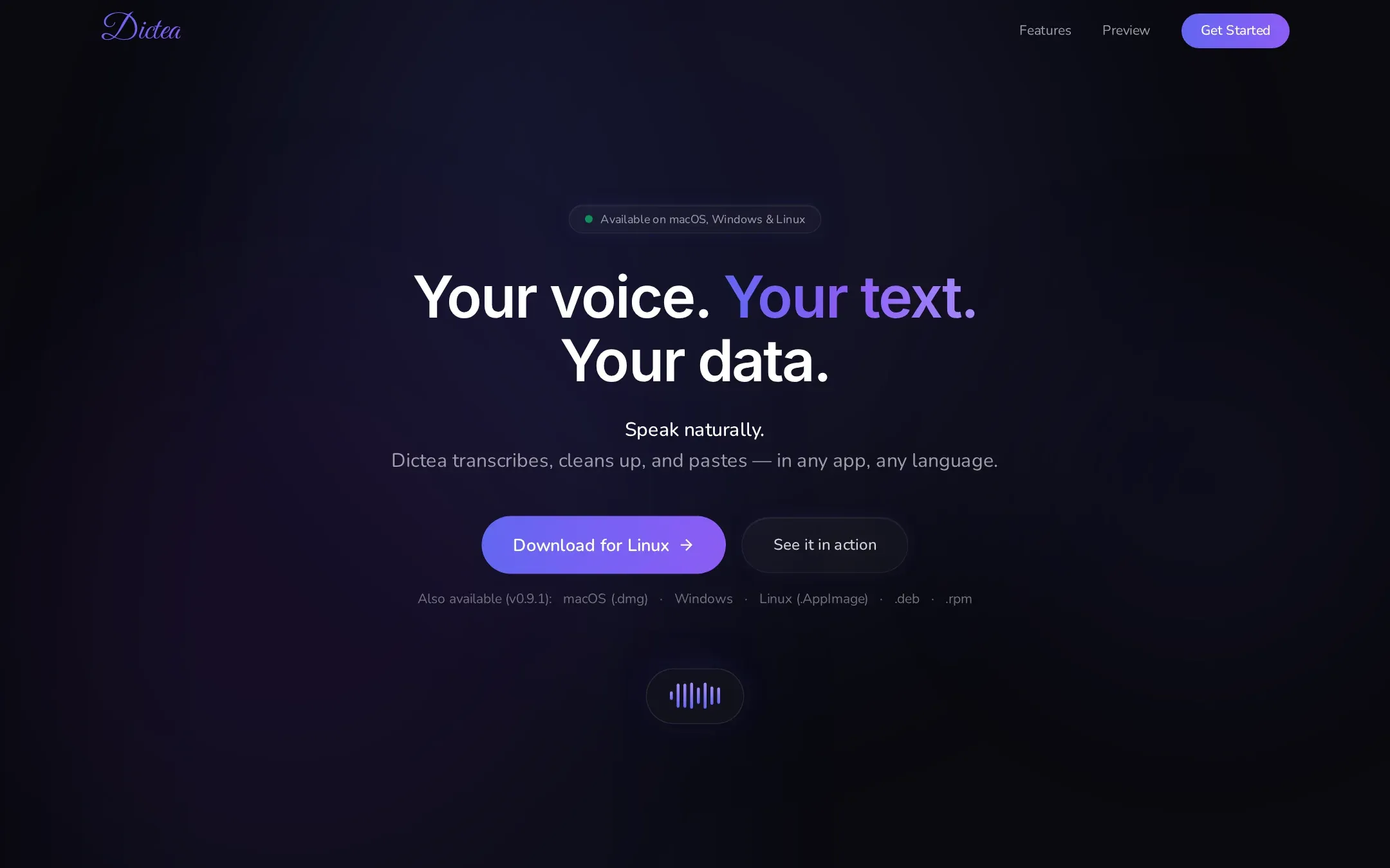 Dictea landing page: "Your voice. Your text. Your data."